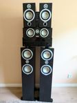 Tannoy högtalare/Surroundsystem