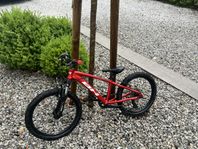 BH expert Junior 20”