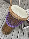 Djembe