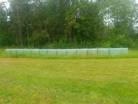 Hösilage/hö till lättfödda hästar