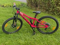 Scott Contessa 24