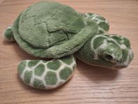 Mjukdjur Sköldpadda - Nature Planet