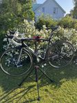 Specialized Tarmac s12