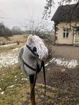 Käpphäst