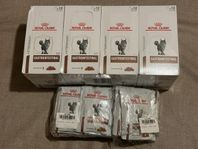 Royal Canin Feline Gastrointestinal 67x85g