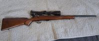 Cz 455 .22lr + Leupold 3-9x