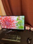Gaming-Setup