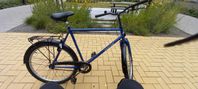 O växlad herrcykel från svalan