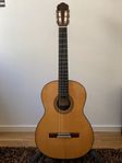 Akustiska gitarrer, intressekoll.
