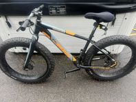 Fat bike 