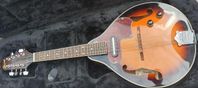 Mandolin Ibanez