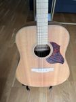 Gitarr+ fodral och staffli
