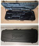 Ibanez M300C hardcase