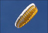 kite