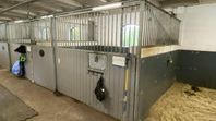 Stallinredning - 10st Boxfronter Myrby