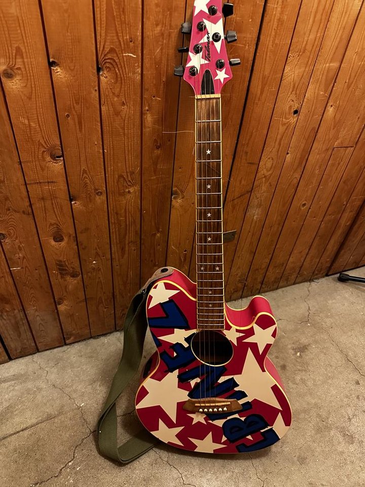 Ibanez Akustisk gitarr, Ibane...