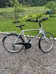 Batavus