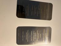 Menyer Sandviks 100-årsjubileum