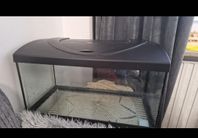 mellanstor akvarium 