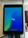 iPad mini 5 Wi‑Fi 64 GB – Space Gray