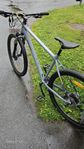  Bergamont Revox 3