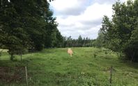 Tomt utanför Unnaryd