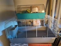 Bur till kanin och hamster