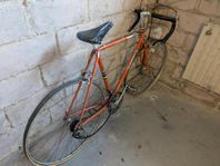 crescent världsmästar cykel