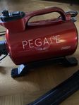 Hundfön Pegase Diablo 