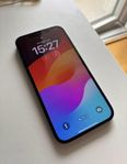 iPhone 12 Pro Max (256 GB)