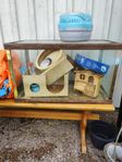 Hamsterbur med tillbehör säljes – komplett set