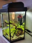25L akvarium med tillbehör