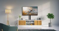 TV-stativ