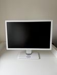 skärm 24” Dell vit