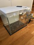 Fluval Flex 57 - komplett inklusive doppvärmare.