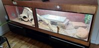 Terrarium GRATIS