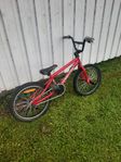 Bmx Why not.