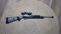Ruger 10/22