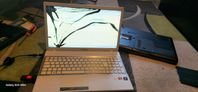 samsung laptop defekt skärm