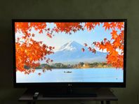 LG 60” Plasma TV
