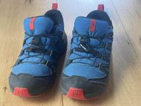 Salomon XA Pro