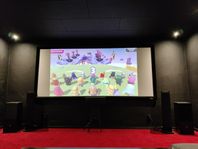 Bioduk 130" från Screen Research, fast ramduk (high-end)