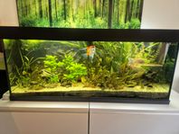 Juwel 240L inkl tillbehör