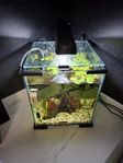 Zolux 20L Akvarium 