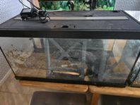 Akvarium