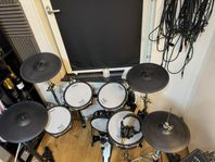 Roland system utan module 