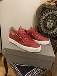 GIUSEPPE ZANOTTI