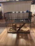 HAMSTERBUR 
