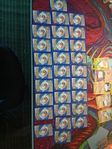 pokemon  kort