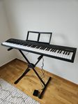 Roland FP 10